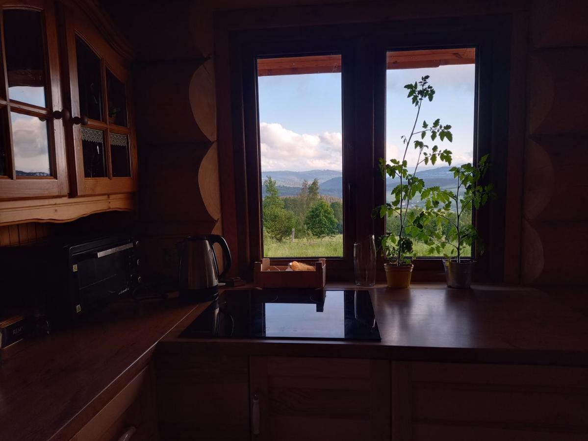 Domek W Gorach Sowich Jugów Esterno foto